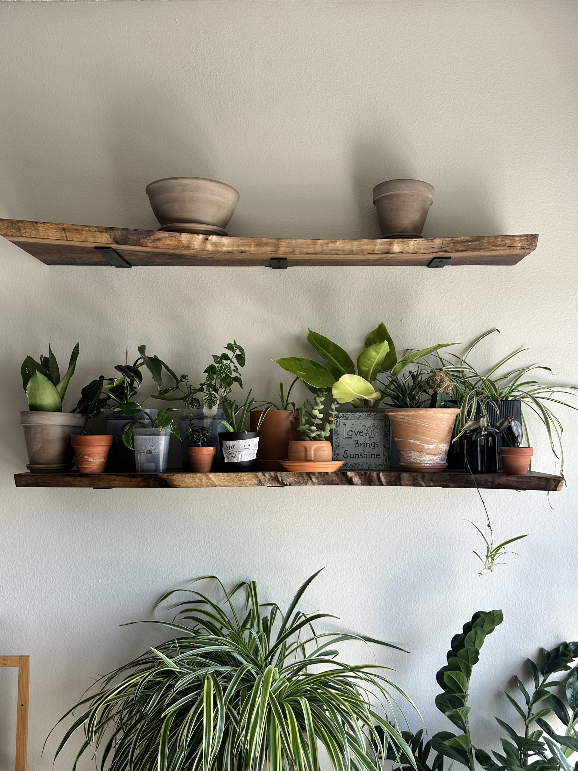 Live edge bookshelves