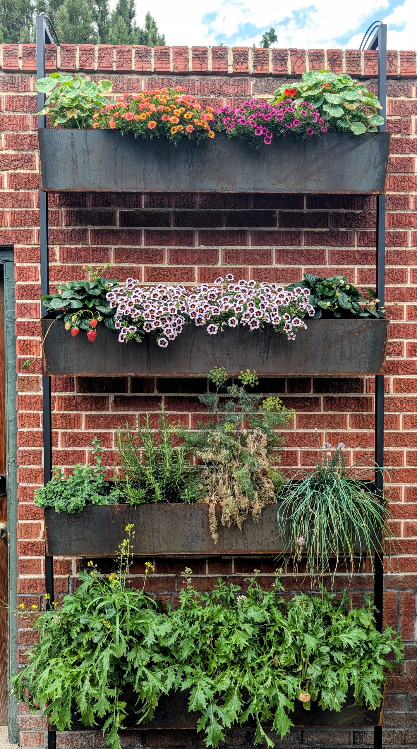 Hanging Planters